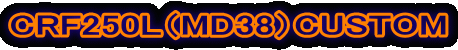 CRF250L�iMD38�jCUSTOM 